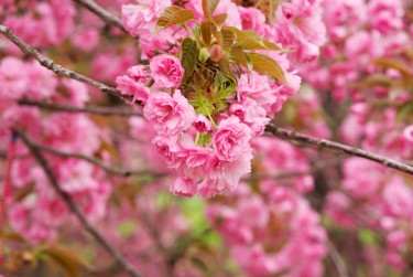 南京建邺区9线下个人借款平台一站式服务，轻松解决资金难题