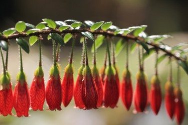 南京建邺区9零用贷短借：轻松解决临时资金需求