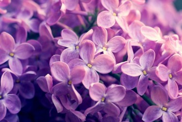 南京建邺区9企业急用钱贷款攻略：快速融资解燃眉之急